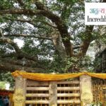 Kashi, Ayodhya with Chitrakoot