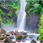 Sikkim Darjeeling Delight