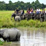 Adventurous North East