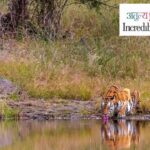 Best of National Parks (MP)