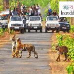Pachmarhi with Kanha National Park