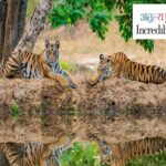 Best of Madhya Pradesh