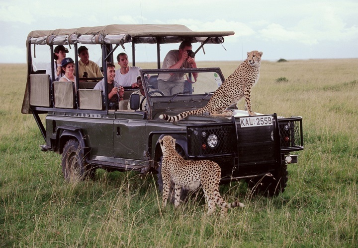 kenya tours packages