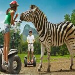 Dubai With Mauritius