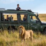 Kenya Wildlife Migration Safari