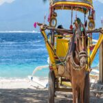 Exotic Bali with Gili Trawangan