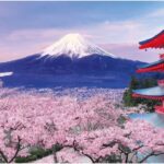 Japan Cherry Blossom Special