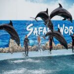 Thailand Summer Special