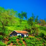 Bangalore, Coorg, Wayanad & Ooty