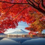 Japan Autumn Special