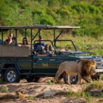 South Africa Delight with Kruger National Park